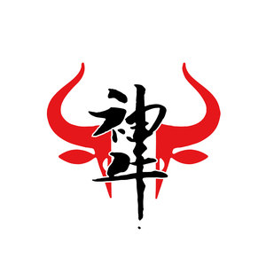 Normal beef noodle