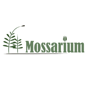 Normal mossarium logo duptown directory